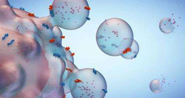 外泌體：一種潛在的藥物遞送系統(tǒng)